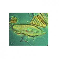 Hydromatrix